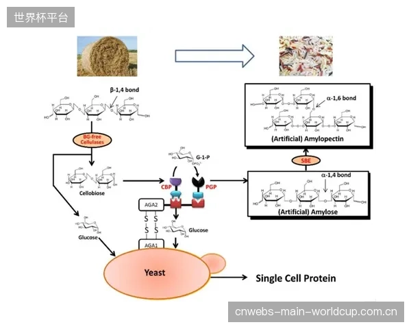 技术成本的持续下探，让大空间水炮不再是大型体育综合体的专属配置